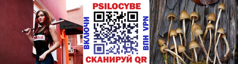 Галлюциногенные грибы прущие грибы  Купить  Искитим 